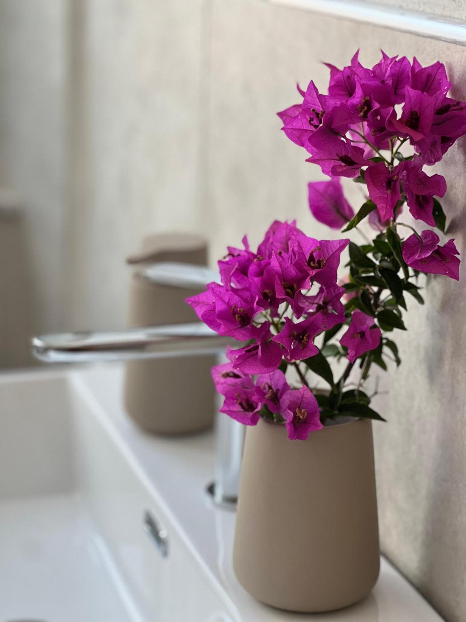 Il Mandorlo Bed & Breakfast Santa Teresa Gallura Eksteriør bilde